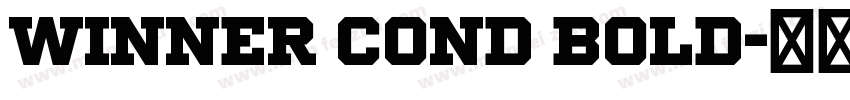 Winner Cond Bold字体转换